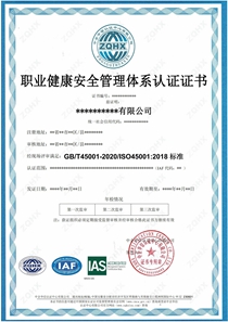 職業健康安全管理體系（IAS）